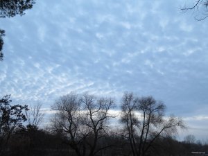 IMG_6264.JPG