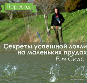 пруды.jpg