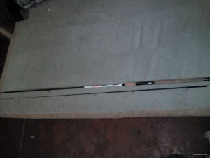 IMG_20151118_070530.jpg