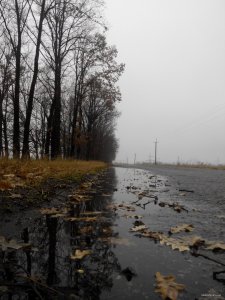 IMG_20151121_142858.jpg