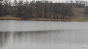 IMG_20151121_120435.jpg