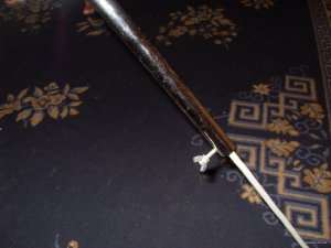 SDC16862.JPG