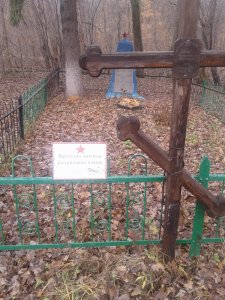 20151124_121921.jpg