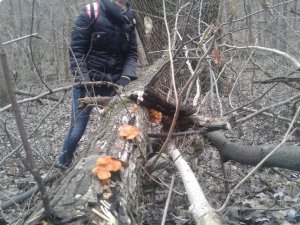 20151124_133103.jpg