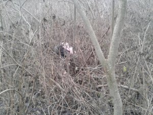 20151124_140444.jpg
