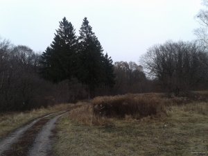 20151124_142740.jpg