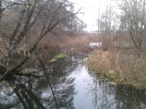 20151124_144244.jpg