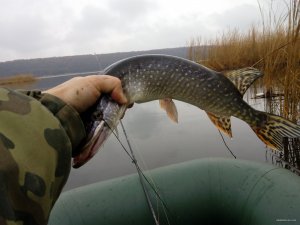 IMG_20151125_094918.jpg