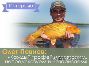 pevnev.jpg
