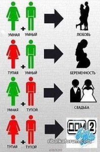 LPxla1ExnNA.jpg