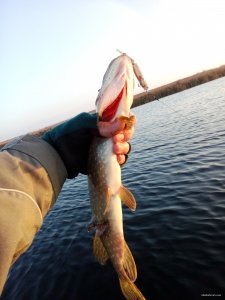 IMG_20151127_145744.jpg
