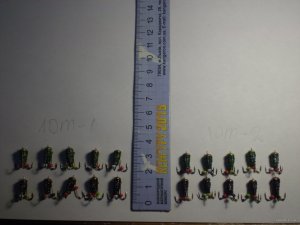 PB270005.JPG