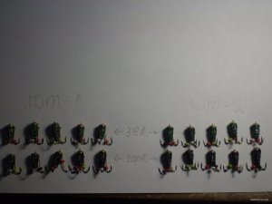 PB270006.JPG