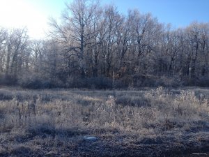 IMG_4579.JPG