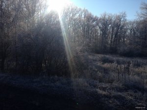 IMG_4580.JPG