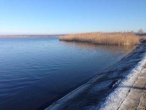 IMG_4582.JPG