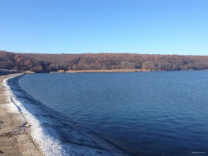 IMG_4584.JPG