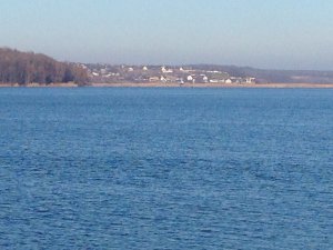 IMG_4583.JPG