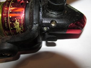 IMG_5463.JPG