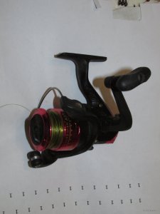 IMG_5464.JPG