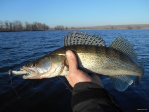 DSCN1231.JPG