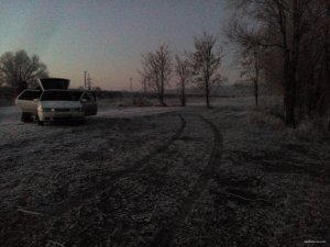 IMG_20151128_063209.jpg