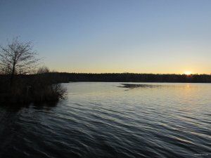 IMG_1662.JPG