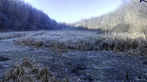 IMG_20151128_110920.jpg