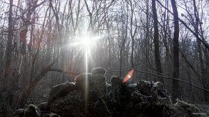 IMG_20151128_113347.jpg