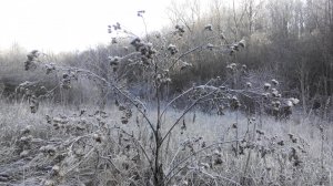 IMG_20151128_124058.jpg