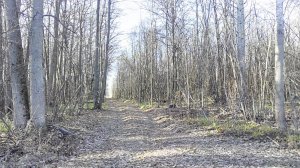 IMG_20151128_125116.jpg