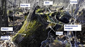 Лошадь исследованная инопланетянами.jpg