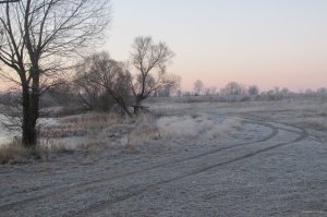 IMG_3494.JPG