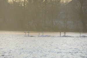 IMG_3499.JPG