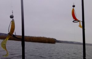 IMG_20151129_113910.jpg