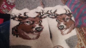 20151129_121144.jpg