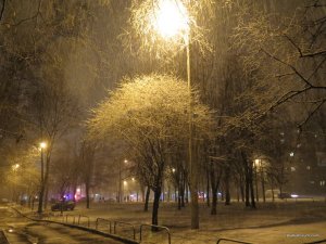 IMG_6362.JPG
