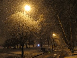 IMG_6367.JPG