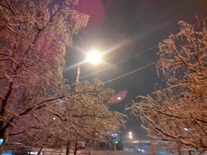 IMG_20151201_215236.jpg