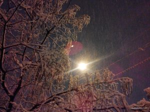 IMG_20151201_215302.jpg
