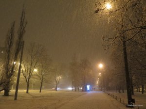 IMG_6385.JPG