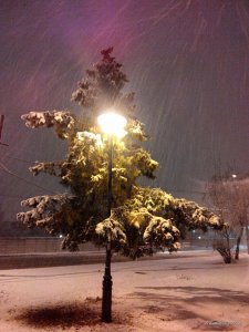 IMG_20151201_220548.jpg