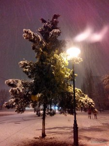 IMG_20151201_220613.jpg