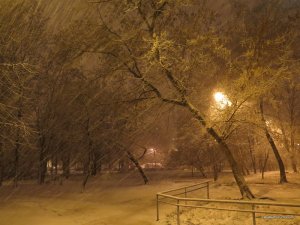 IMG_6399.JPG