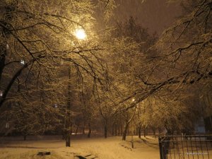 IMG_6407.JPG