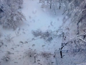 IMG_20151202_070846.jpg
