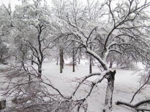 IMG_6412.JPG