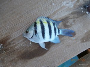 PB261048.JPG