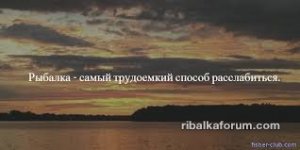 images (23).jpg