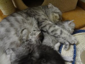 DSC04038.JPG